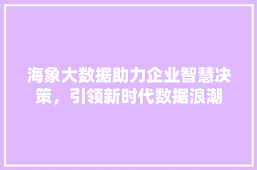 海象大数据助力企业智慧决策,引领新时代数据浪潮 海象大数据助力企业智慧决策,引领新时代数据浪潮