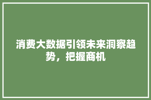 消费大数据引领未来洞察趋势，把握商机