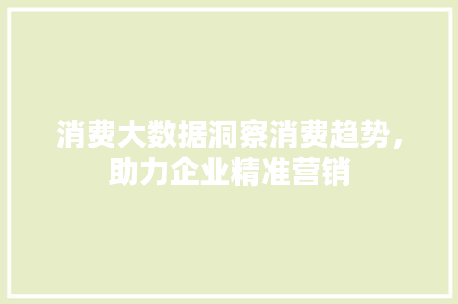 消费大数据洞察消费趋势，助力企业精准营销
