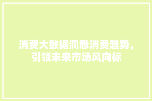 消费大数据洞悉消费趋势，引领未来市场风向标