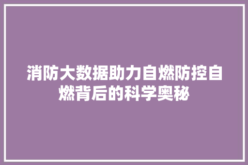 消防大数据助力自燃防控自燃背后的科学奥秘