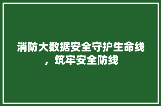 消防大数据安全守护生命线，筑牢安全防线 电脑配置