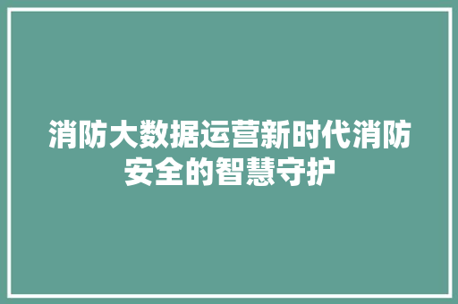 消防大数据运营新时代消防安全的智慧守护