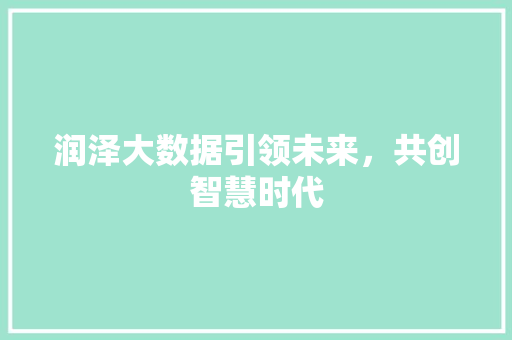润泽大数据引领未来，共创智慧时代 操作系统