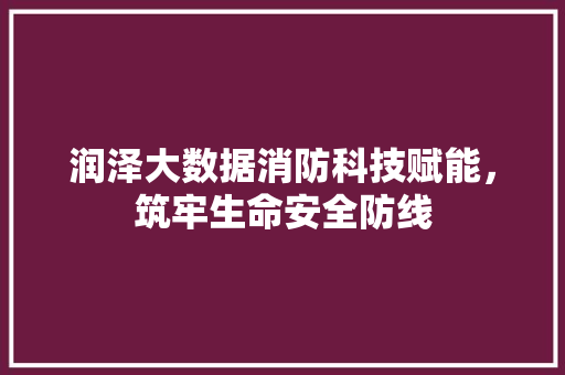 润泽大数据消防科技赋能，筑牢生命安全防线