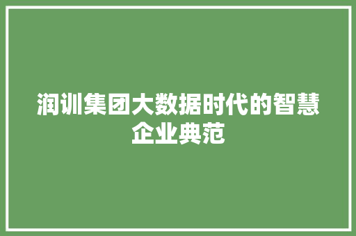 润训集团大数据时代的智慧企业典范 操作系统