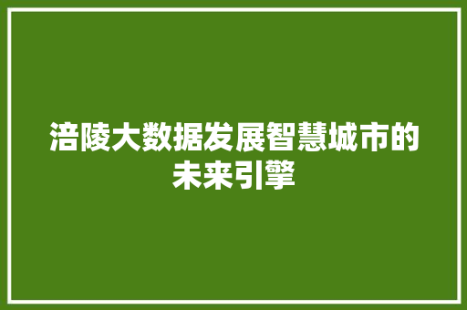 涪陵大数据发展智慧城市的未来引擎