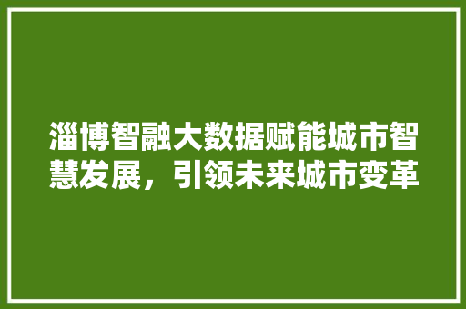 淄博智融大数据赋能城市智慧发展,引领未来城市变革 淄博智融大数据赋能城市智慧发展,引领未来城市变革