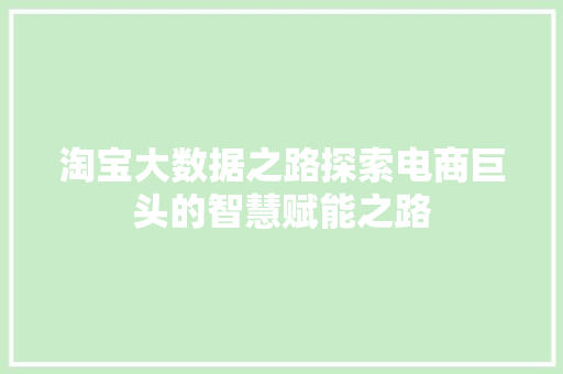 淘宝大数据之路探索电商巨头的智慧赋能之路