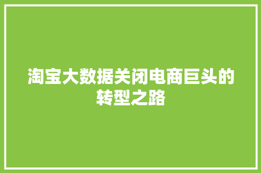 淘宝大数据关闭电商巨头的转型之路