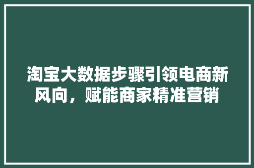 淘宝大数据步骤引领电商新风向，赋能商家精准营销