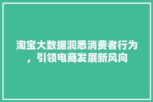 淘宝大数据洞悉消费者行为，引领电商发展新风向
