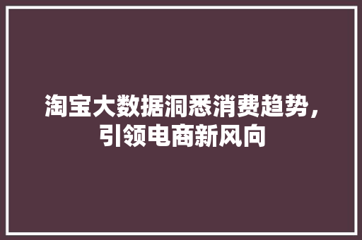淘宝大数据洞悉消费趋势，引领电商新风向