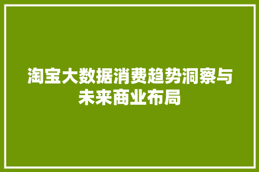 淘宝大数据消费趋势洞察与未来商业布局 编程语言