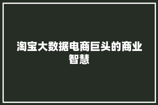 淘宝大数据电商巨头的商业智慧