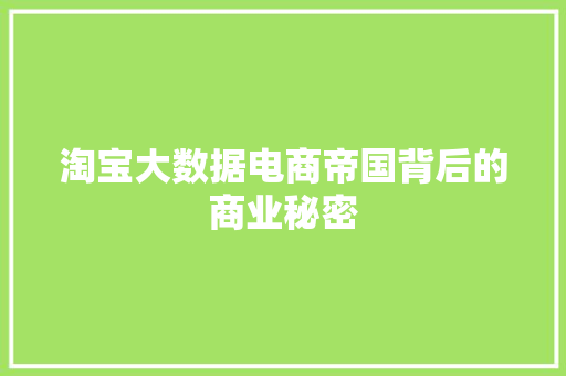 淘宝大数据电商帝国背后的商业秘密