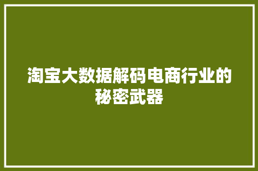 淘宝大数据解码电商行业的秘密武器