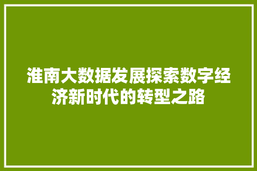 淮南大数据发展探索数字经济新时代的转型之路