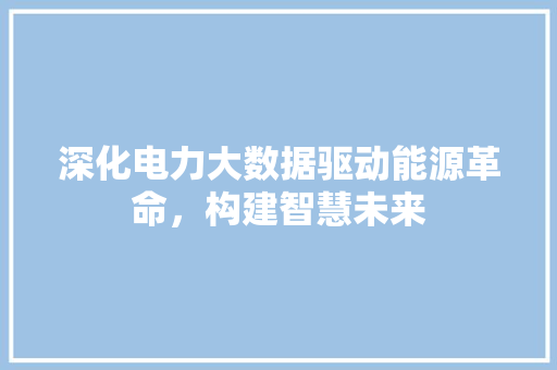 深化电力大数据驱动能源革命，构建智慧未来