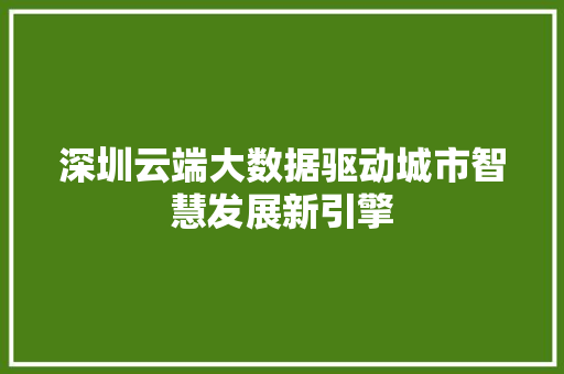 深圳云端大数据驱动城市智慧发展新引擎