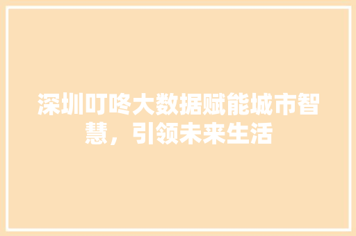 深圳叮咚大数据赋能城市智慧，引领未来生活