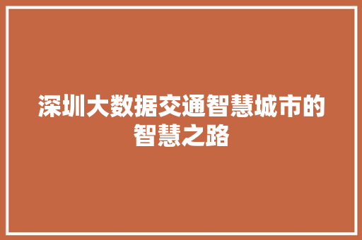 深圳大数据交通智慧城市的智慧之路