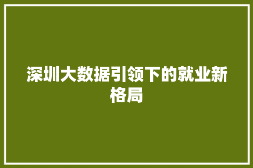 深圳大数据引领下的就业新格局 网络技术