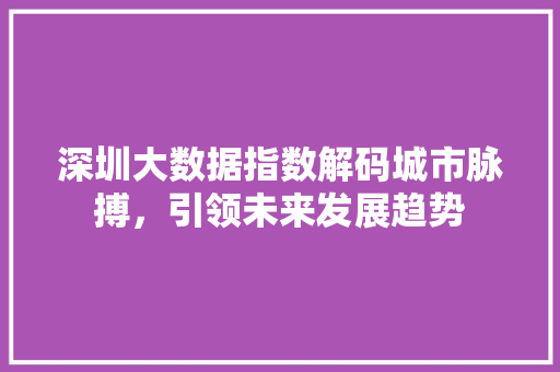 深圳大数据指数解码城市脉搏，引领未来发展趋势