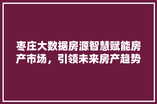 枣庄大数据房源智慧赋能房产市场，引领未来房产趋势