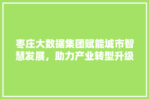 枣庄大数据集团赋能城市智慧发展，助力产业转型升级