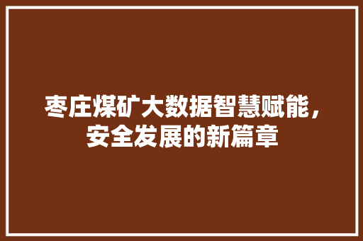 枣庄煤矿大数据智慧赋能，安全发展的新篇章