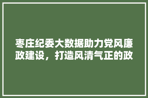 枣庄纪委大数据助力党风廉政建设，打造风清气正的政治生态
