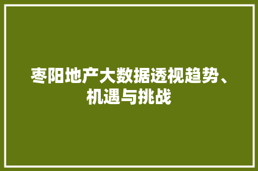 枣阳地产大数据透视趋势、机遇与挑战