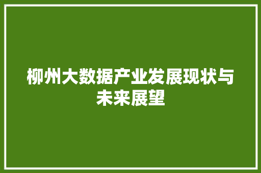 柳州大数据产业发展现状与未来展望