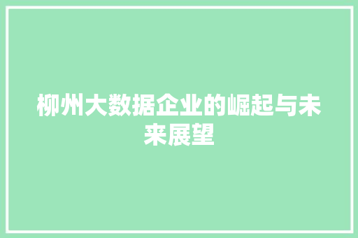 柳州大数据企业的崛起与未来展望