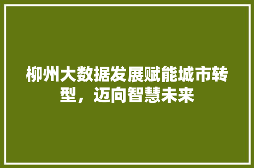 柳州大数据发展赋能城市转型，迈向智慧未来