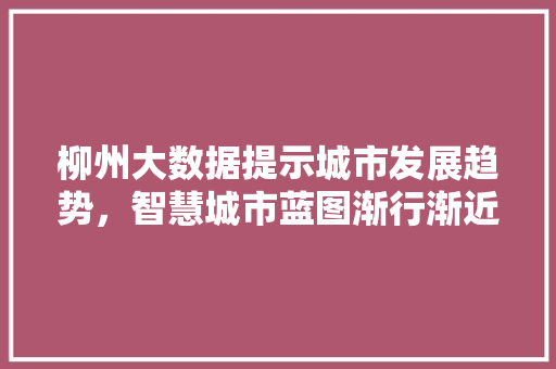 柳州大数据提示城市发展趋势，智慧城市蓝图渐行渐近