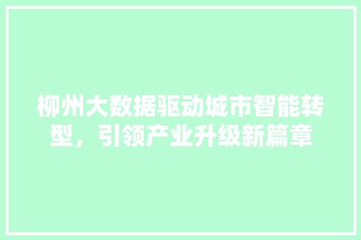 柳州大数据驱动城市智能转型，引领产业升级新篇章