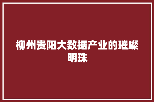 柳州贵阳大数据产业的璀璨明珠