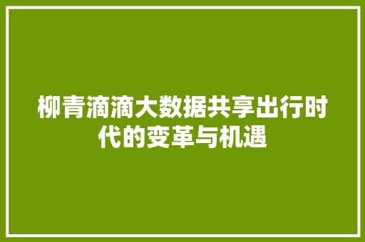 柳青滴滴大数据共享出行时代的变革与机遇