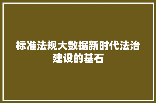 标准法规大数据新时代法治建设的基石 标准法规大数据新时代法治建设的基石