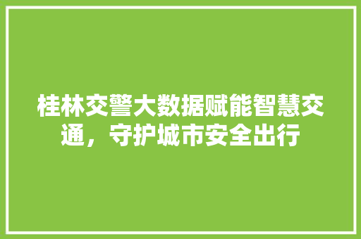 桂林交警大数据赋能智慧交通，守护城市安全出行