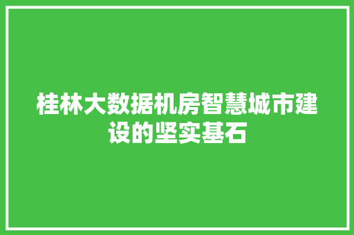 桂林大数据机房智慧城市建设的坚实基石 桂林大数据机房智慧城市建设的坚实基石