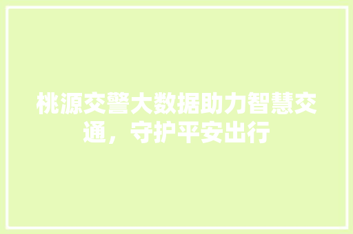 桃源交警大数据助力智慧交通,守护平安出行 桃源交警大数据助力智慧交通,守护平安出行