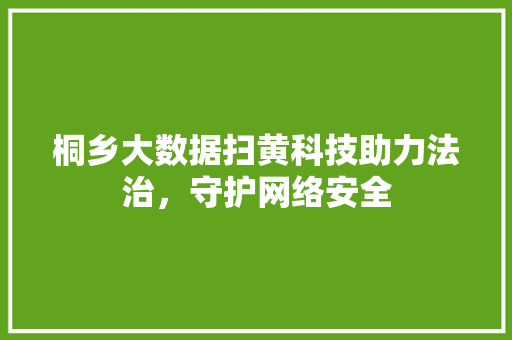 桐乡大数据扫黄科技助力法治,守护网络安全 桐乡大数据扫黄科技助力法治,守护网络安全