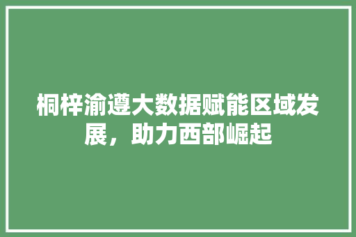 桐梓渝遵大数据赋能区域发展,助力西部崛起 桐梓渝遵大数据赋能区域发展,助力西部崛起