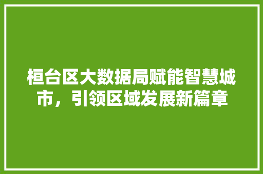 桓台区大数据局赋能智慧城市,引领区域发展新篇章 桓台区大数据局赋能智慧城市,引领区域发展新篇章
