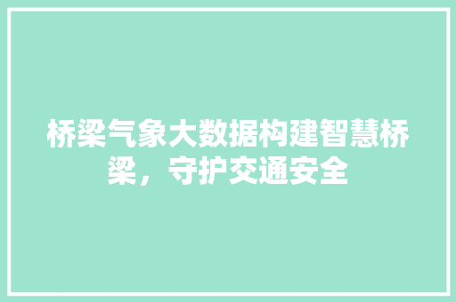 桥梁气象大数据构建智慧桥梁，守护交通安全