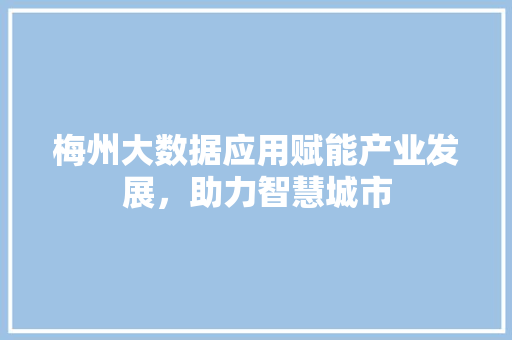 梅州大数据应用赋能产业发展,助力智慧城市 梅州大数据应用赋能产业发展,助力智慧城市