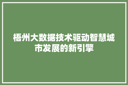 梧州大数据技术驱动智慧城市发展的新引擎 梧州大数据技术驱动智慧城市发展的新引擎